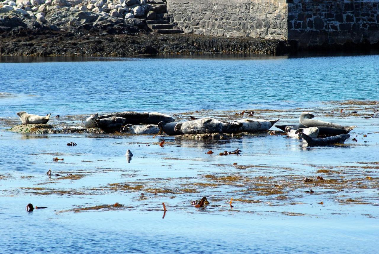 Portnahaven Orsay House Bed & Breakfast エクステリア 写真