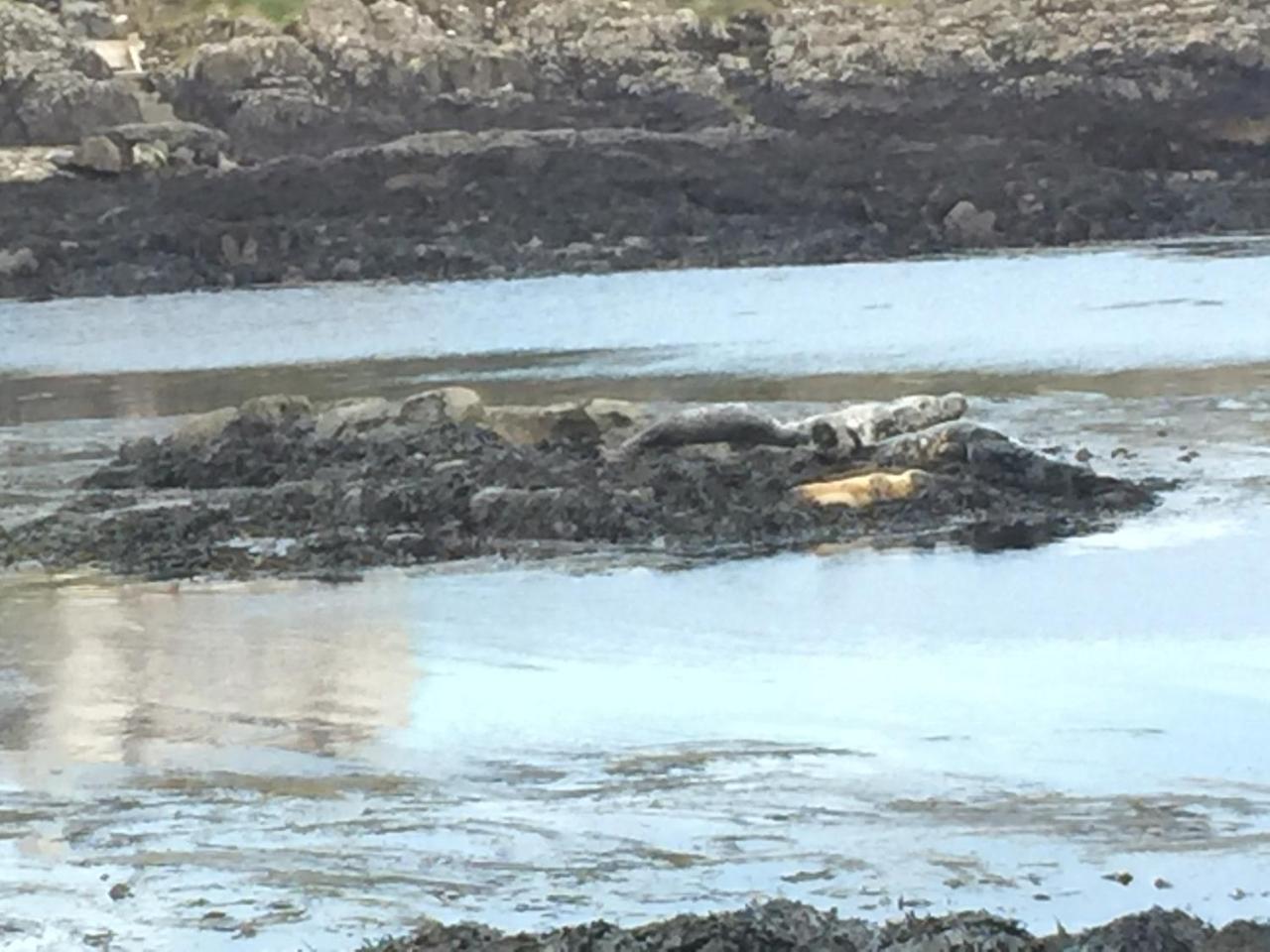 Portnahaven Orsay House Bed & Breakfast エクステリア 写真